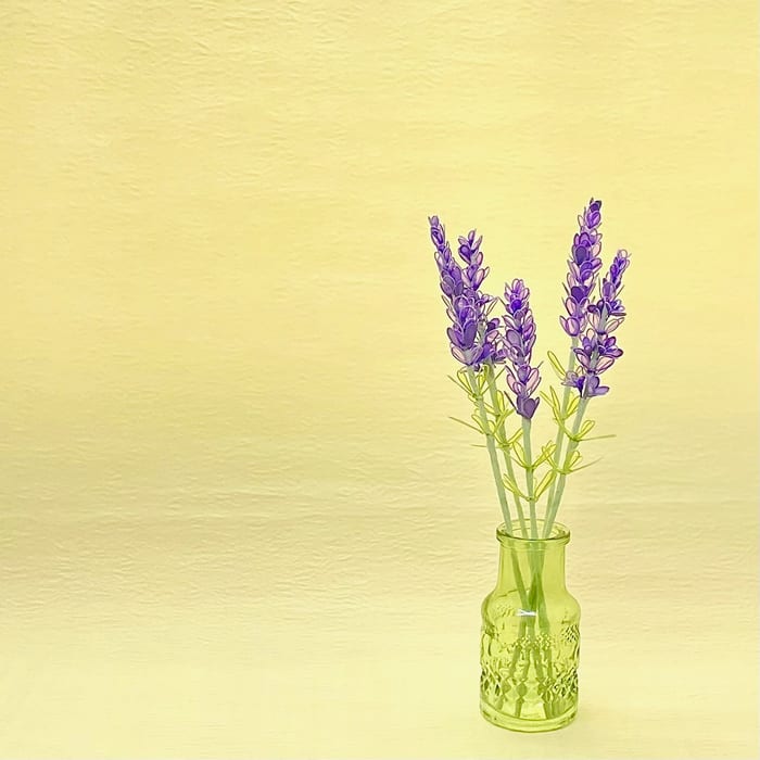 美しい紫色のラベンダー　５本セット